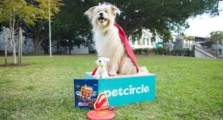Pet Circle x Superman