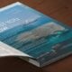 True North reframes coastline experience in new campaign