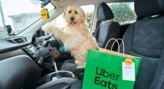 Uber Eats x Petbarn