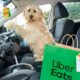 Uber Eats x Petbarn