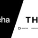 Zitcha x Beauty