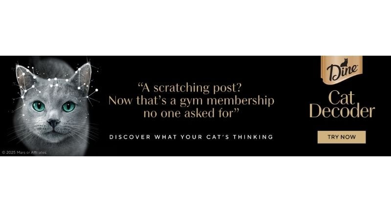 DINE rolls out AI-powered tool to give cat owners a window into their pets' minds
