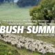 News Australia - National Bush Summit