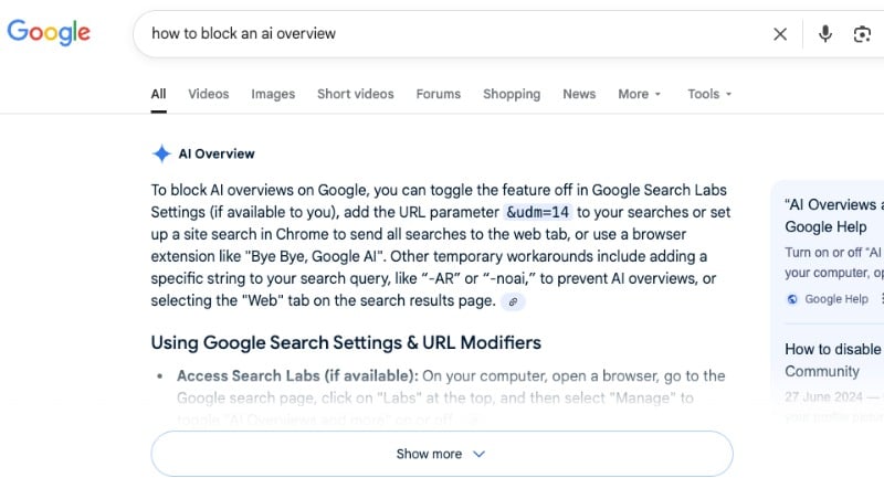 What are AI Overviews Google search