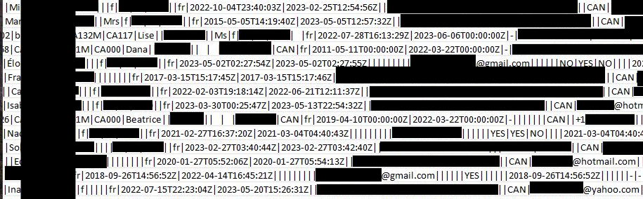 Sample of the allegedly stolen details. Image by Cybernews.