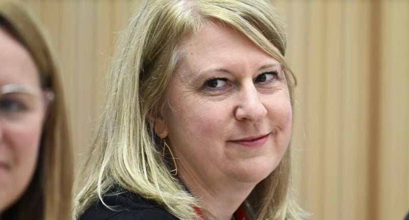 Chief financial officer Melanie Kleyn