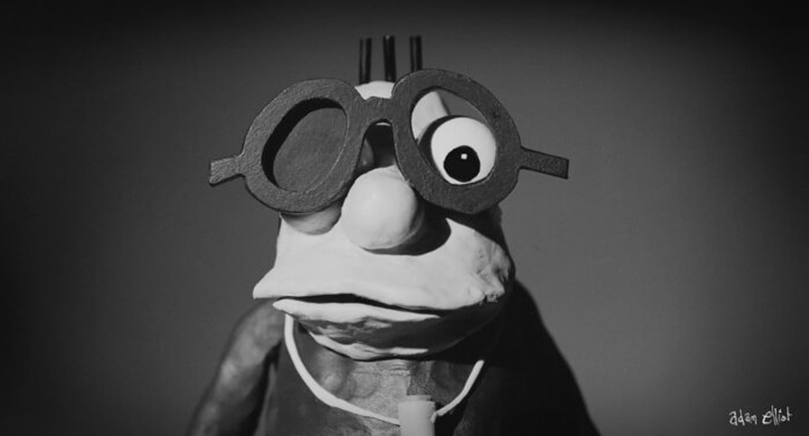 Flickerfest Bronwyn Kidd