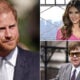 Prince Harry Daily Mail trial