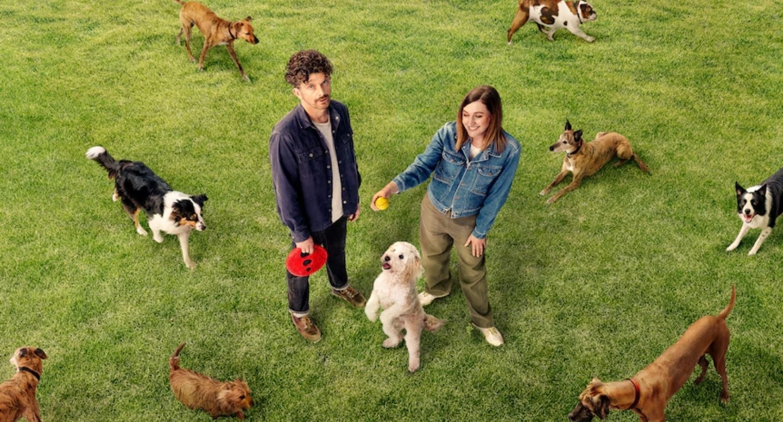 Dog Park Matchbox pictures