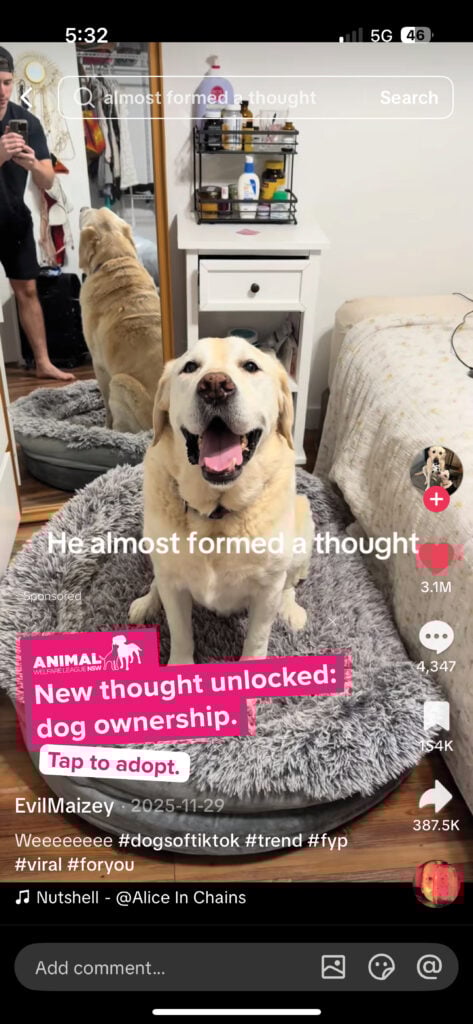 An example of the 'Fur You Feed' popup