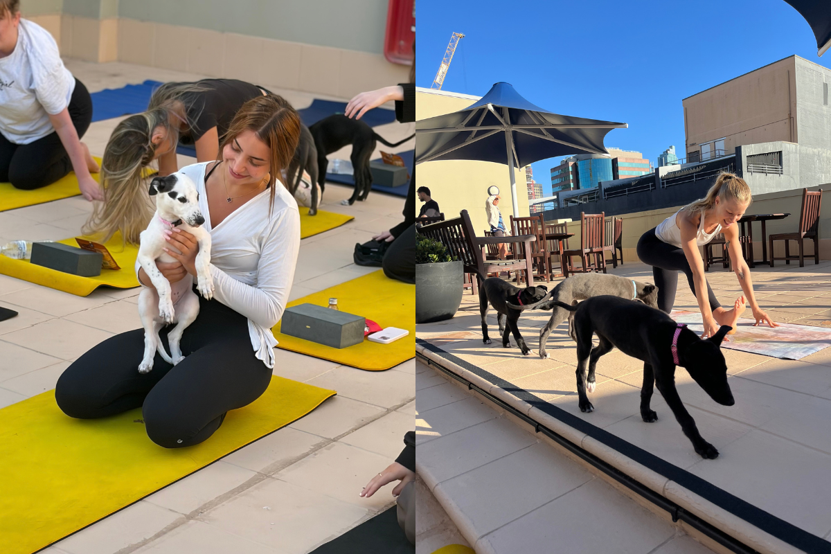 News Australia Puppy Yoga (2)