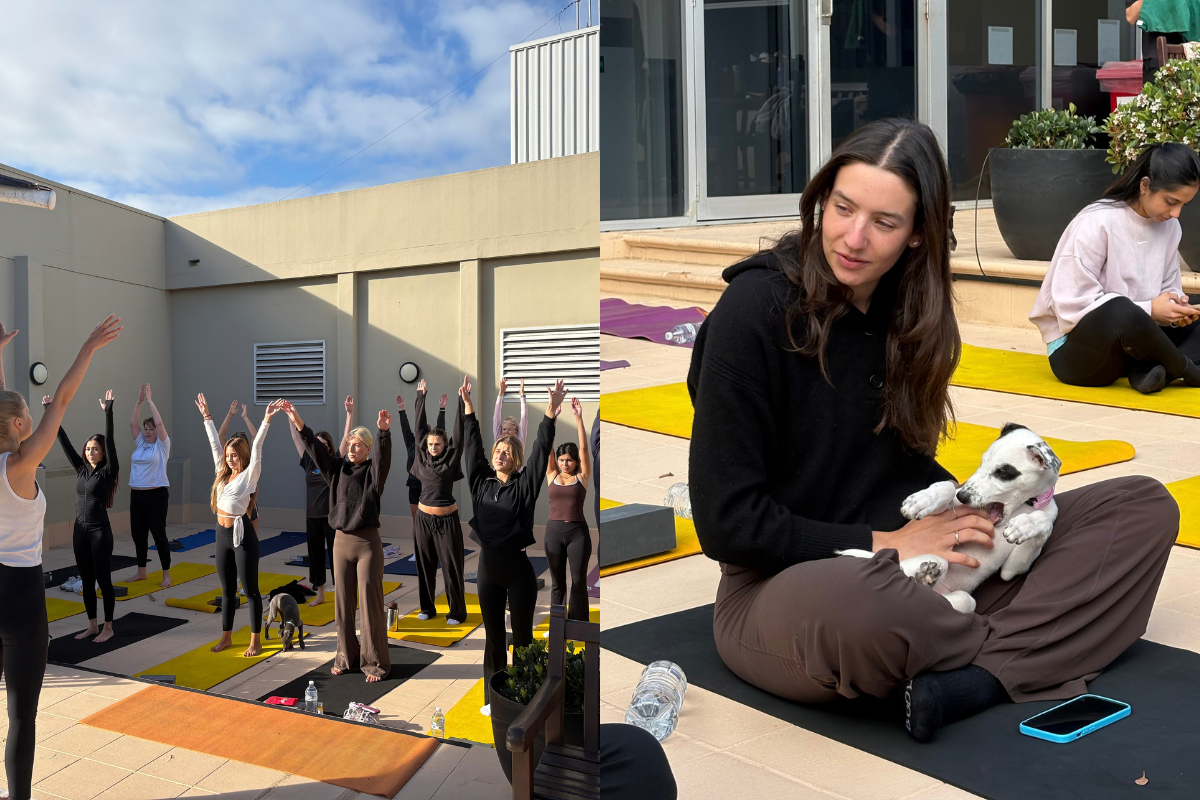 News Australia Puppy Yoga (4)