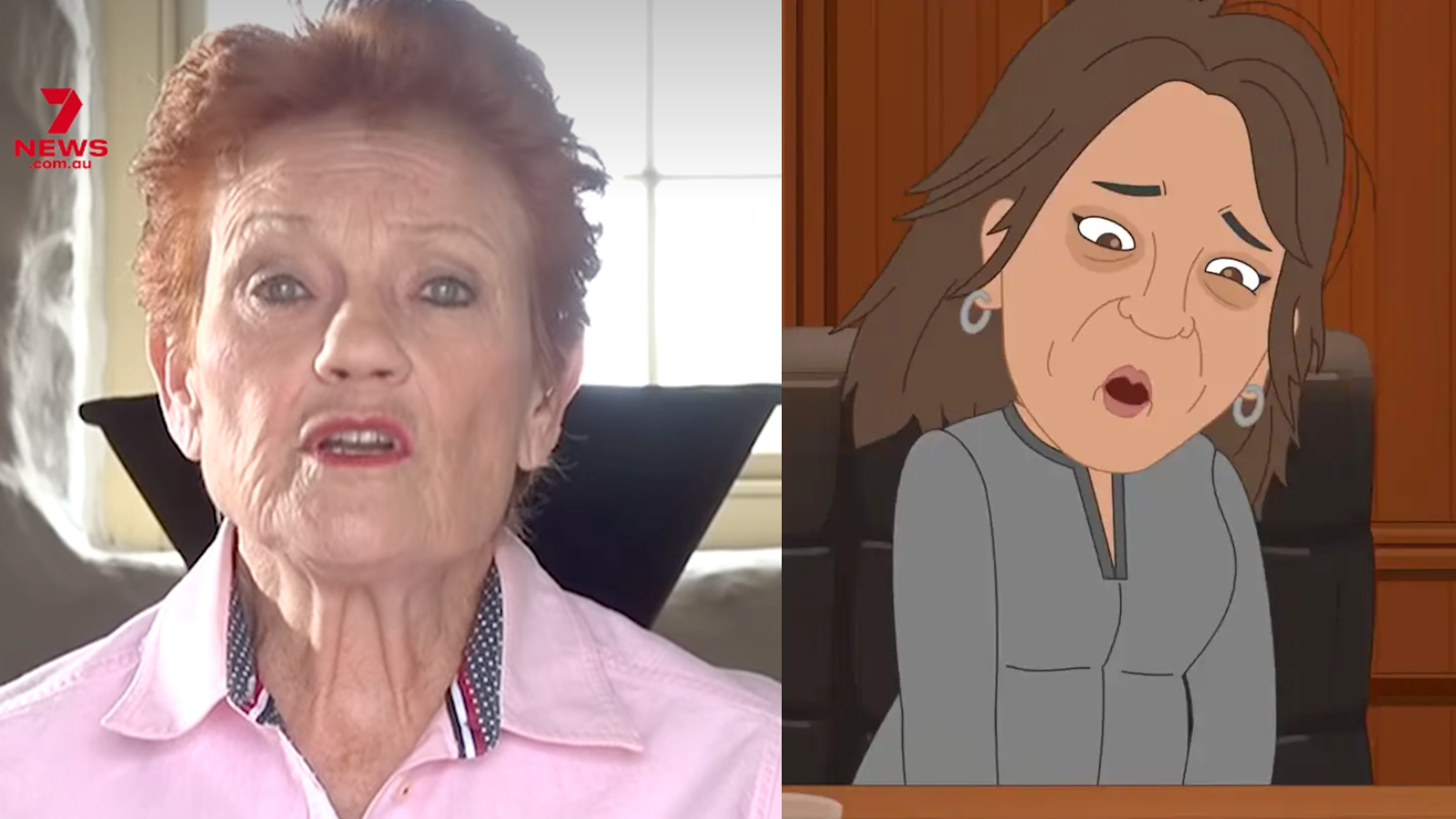 Pauline Hanson apologises for One Nation cartoon mocking vaginal ...