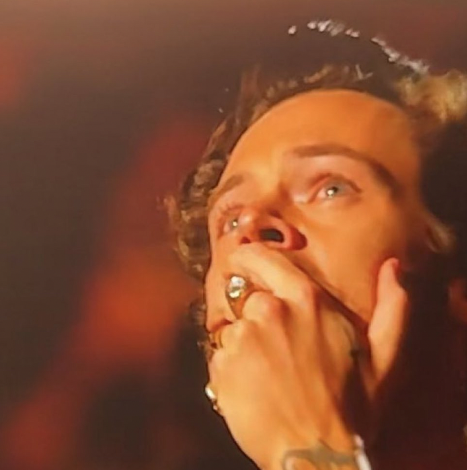 Harry Styles / twitter