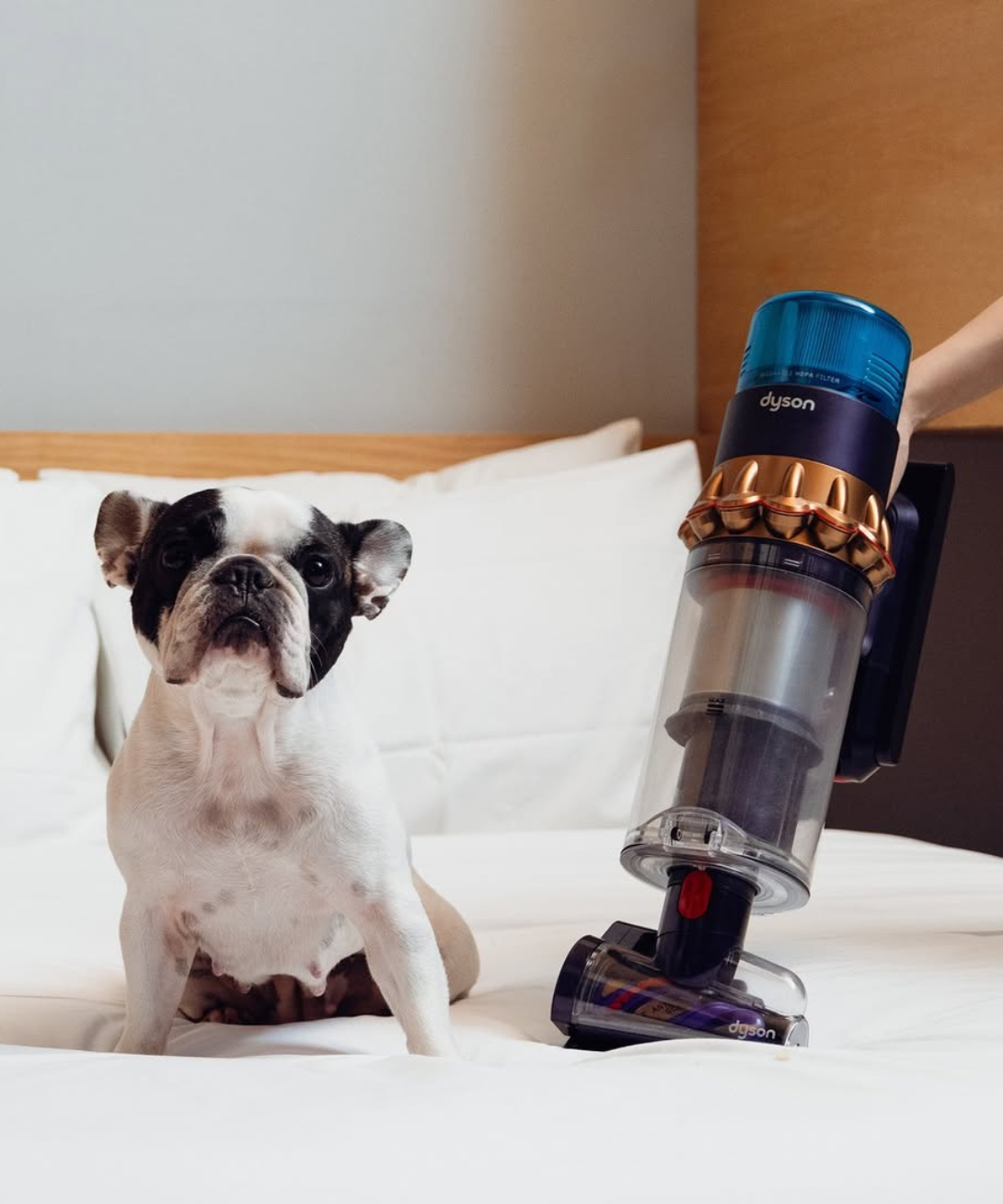 dyson click frenzy vacuum sale