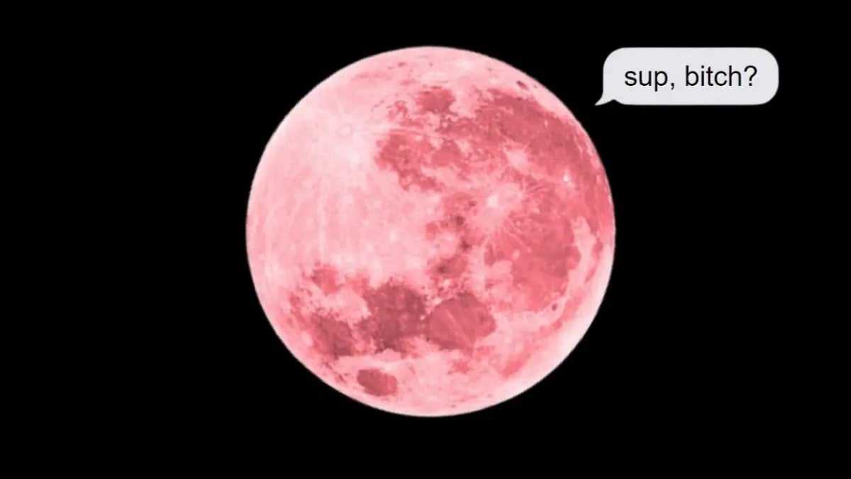 Pink Moon