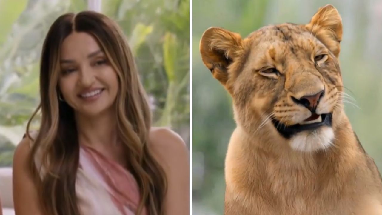 The Block's Sev being transformed into a lion