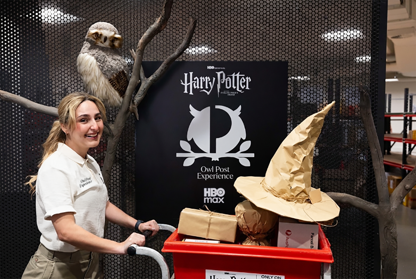 Harry Potter Owl Post Experience