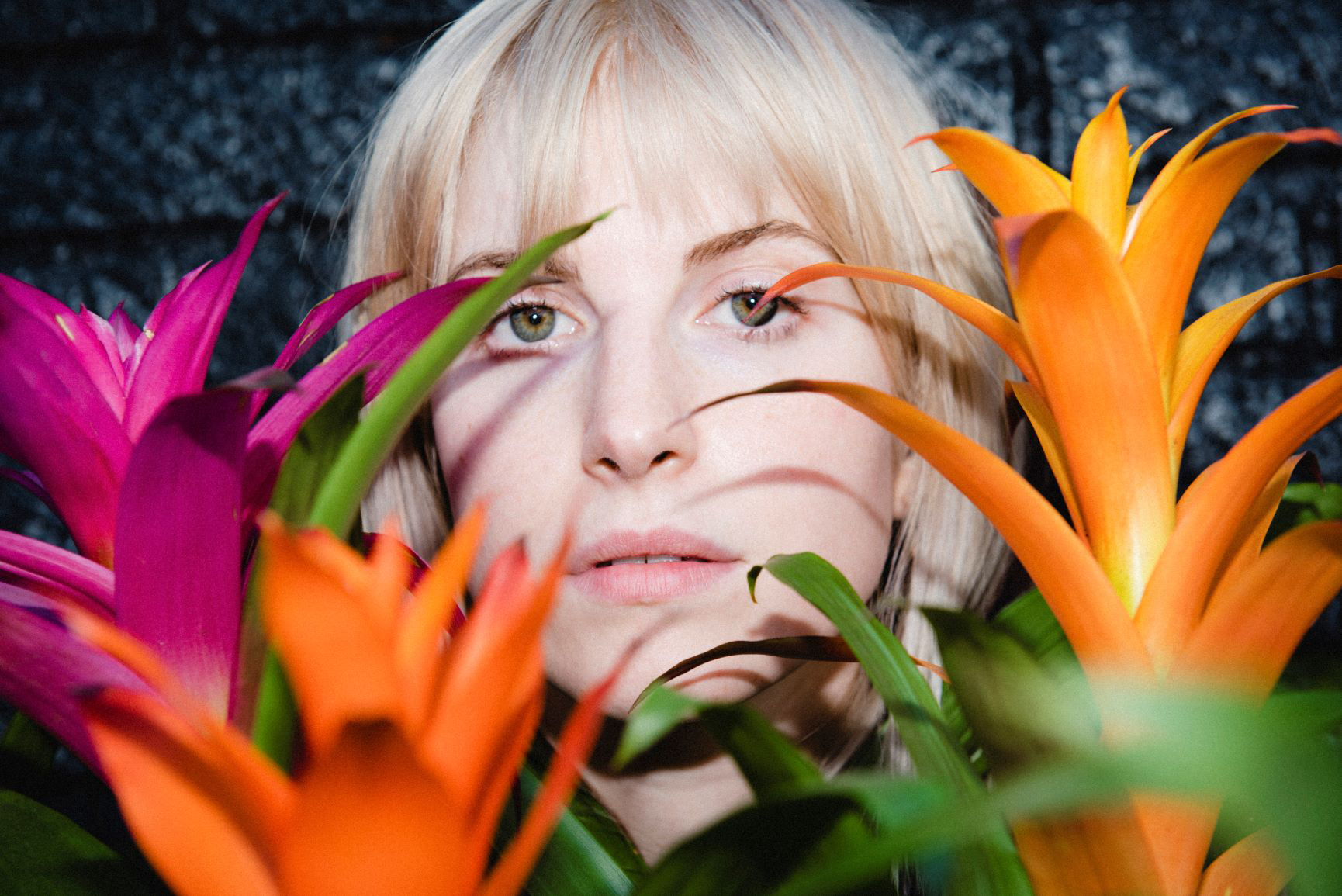Image of Hayley Williams