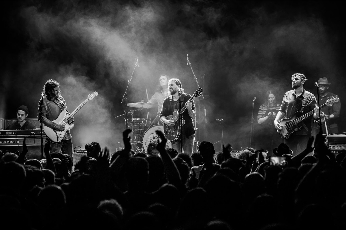 Image of The Teskey Brothers performing live