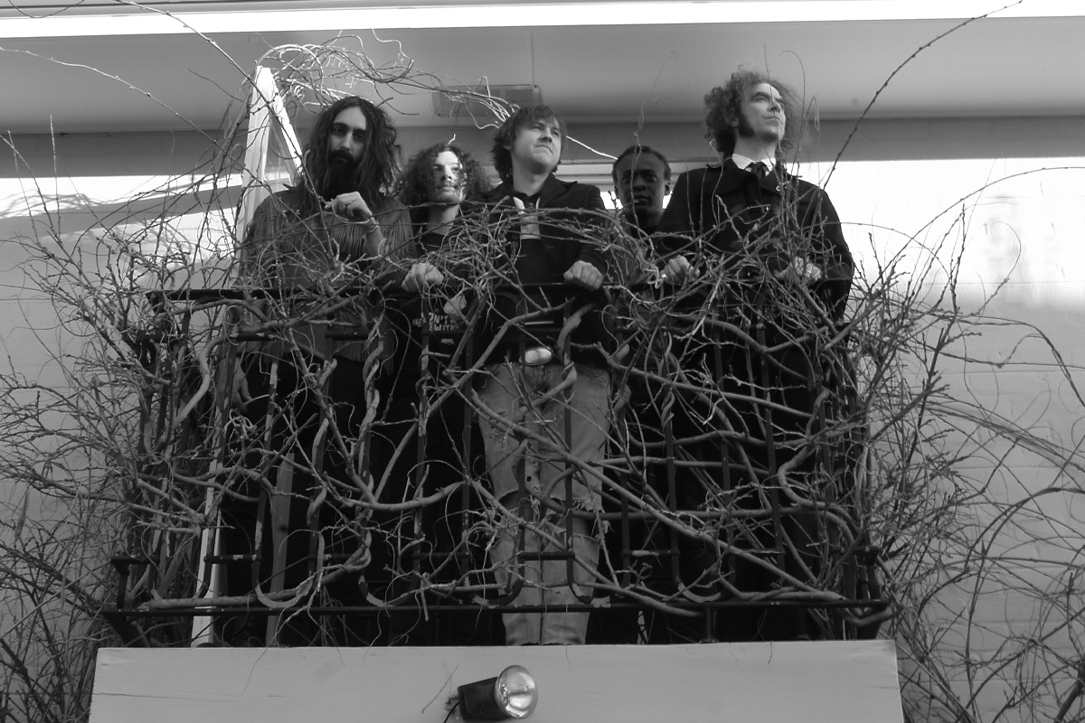 Press image of Immigrant Union