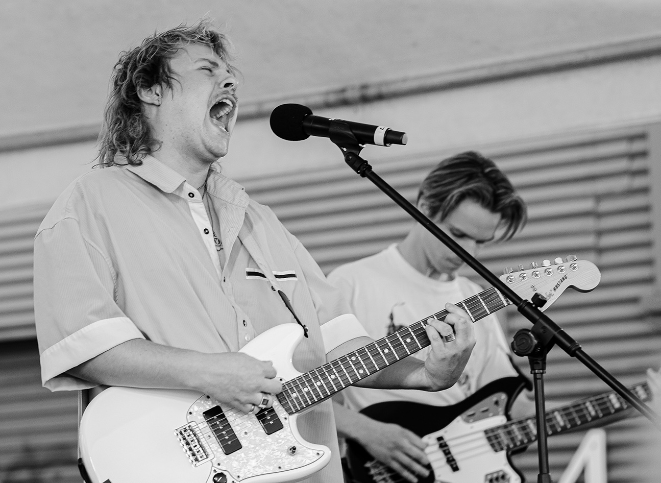 The Others Way Festival Daffodils