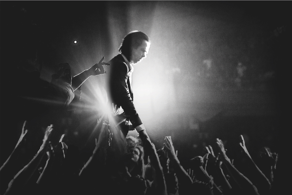 Nick Cave