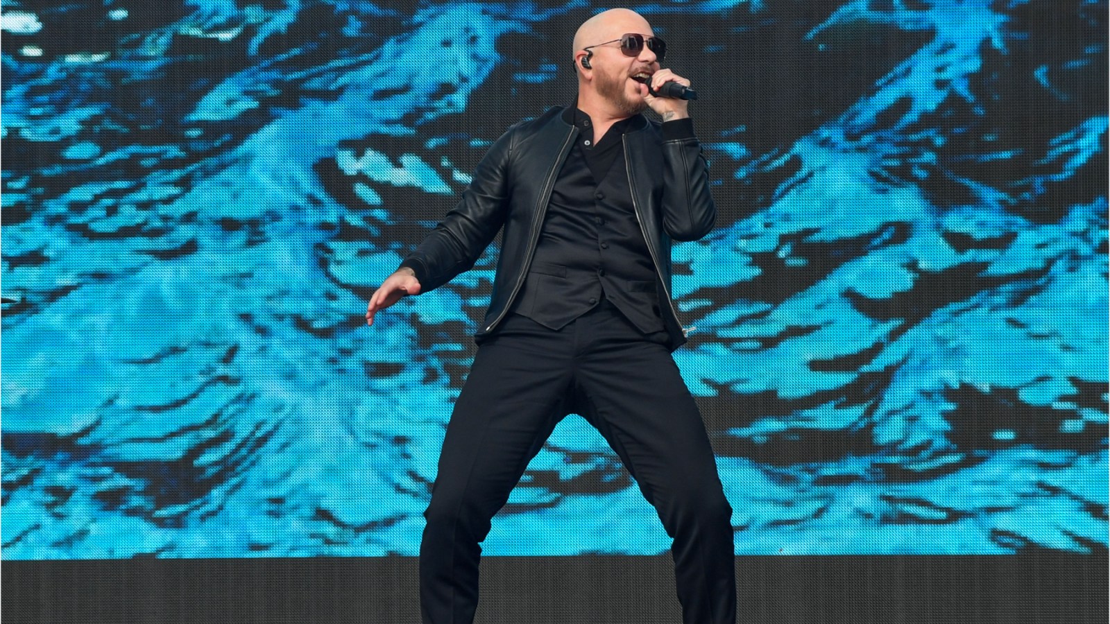 Pitbull