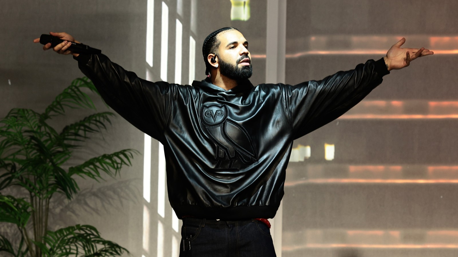 Drake, 21 Savage album: That Megan Thee Stallion lyric, more to know