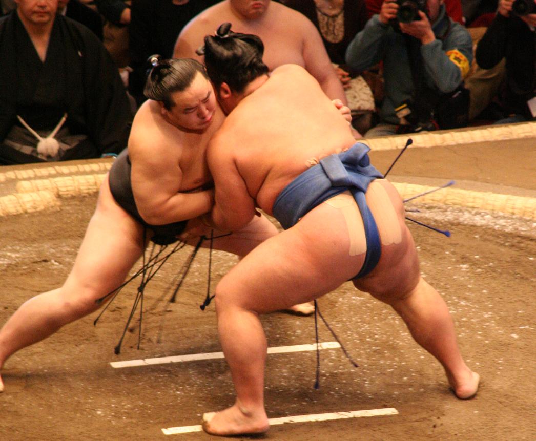 Sumo wrestling