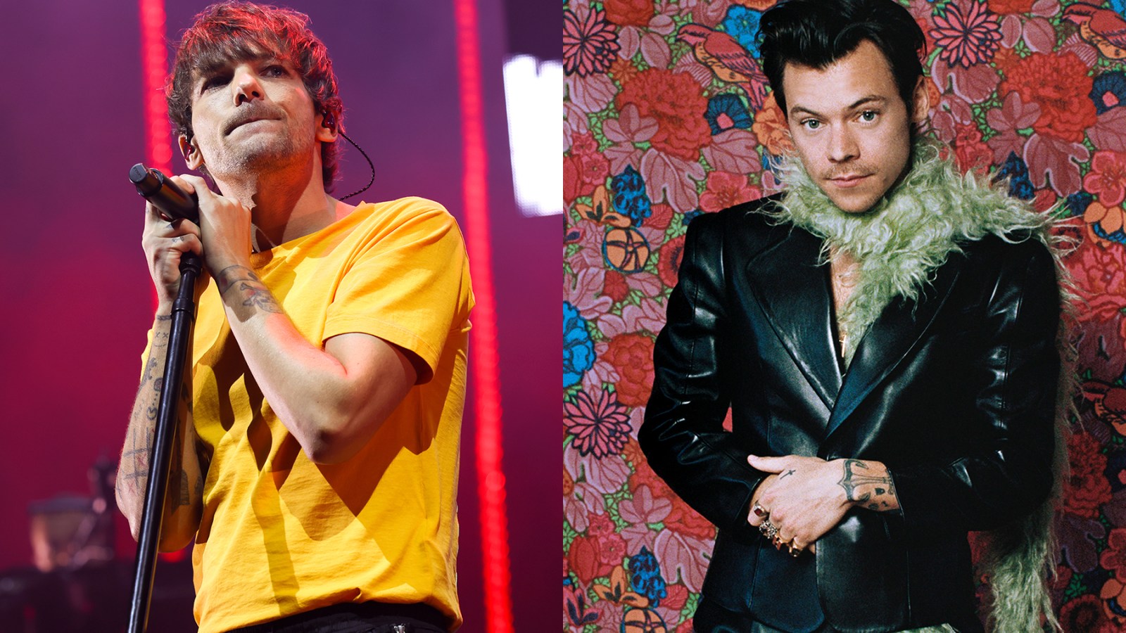 Louis Tomlinson and Harry Styles