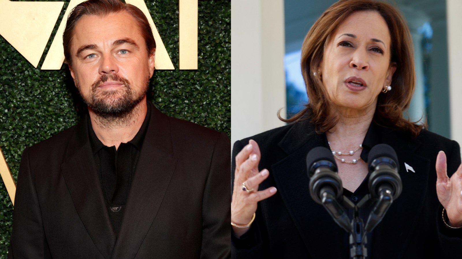 Leonardo DiCaprio and Kamala Harris