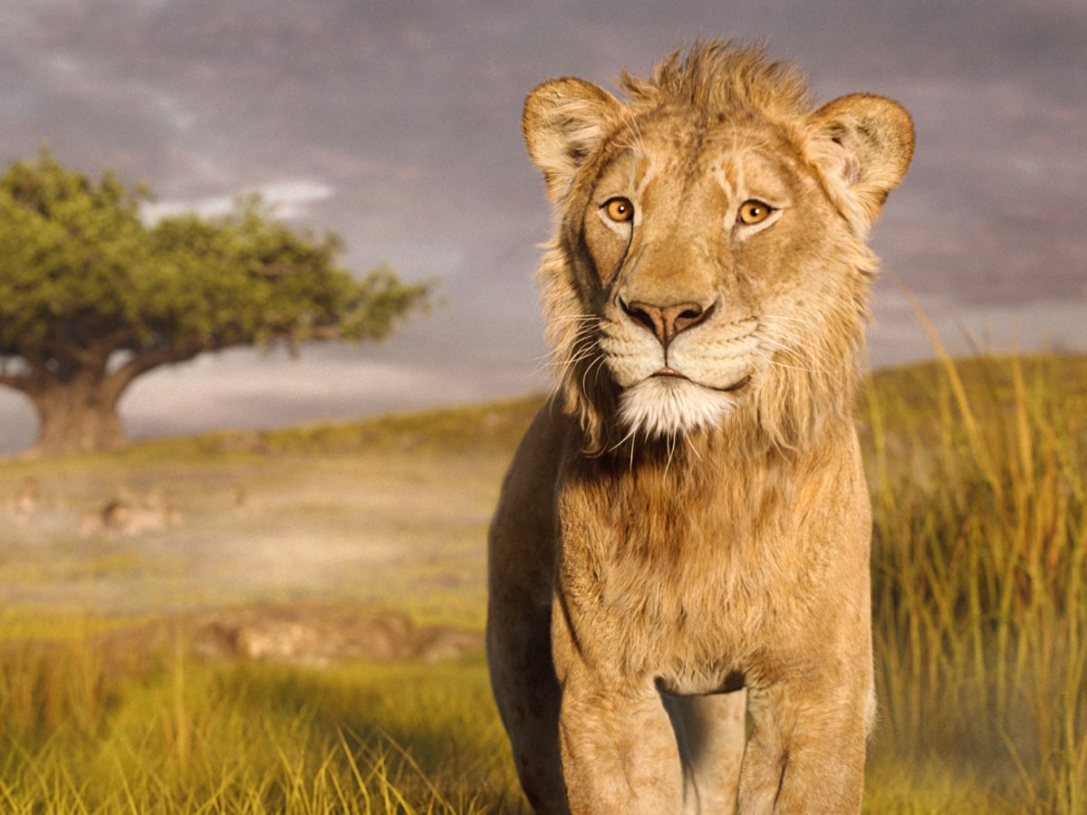 Mufasa: The Lion King
