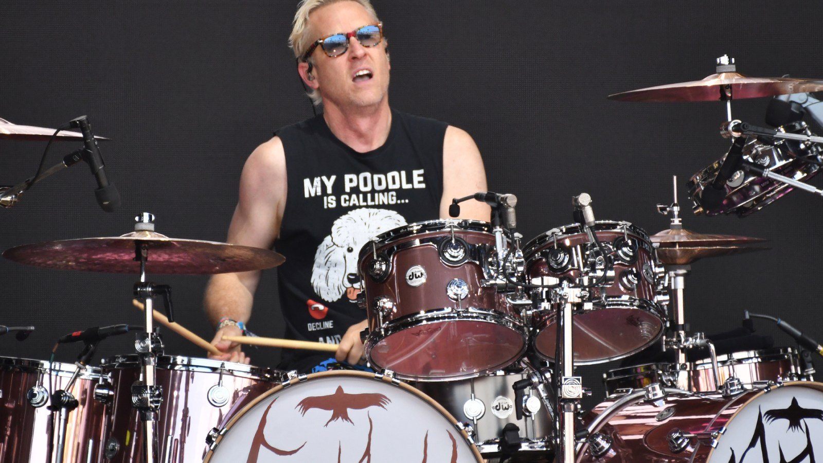 Former Foo Fighters drummer Josh Freese