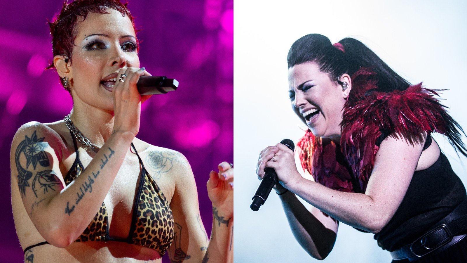 Halsey Amy