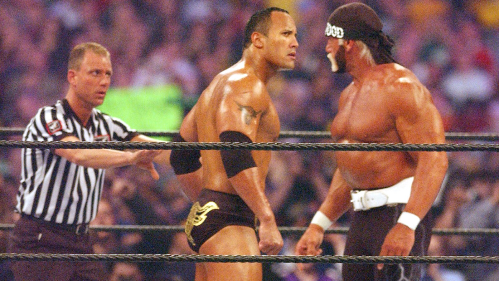 Rock Hogan