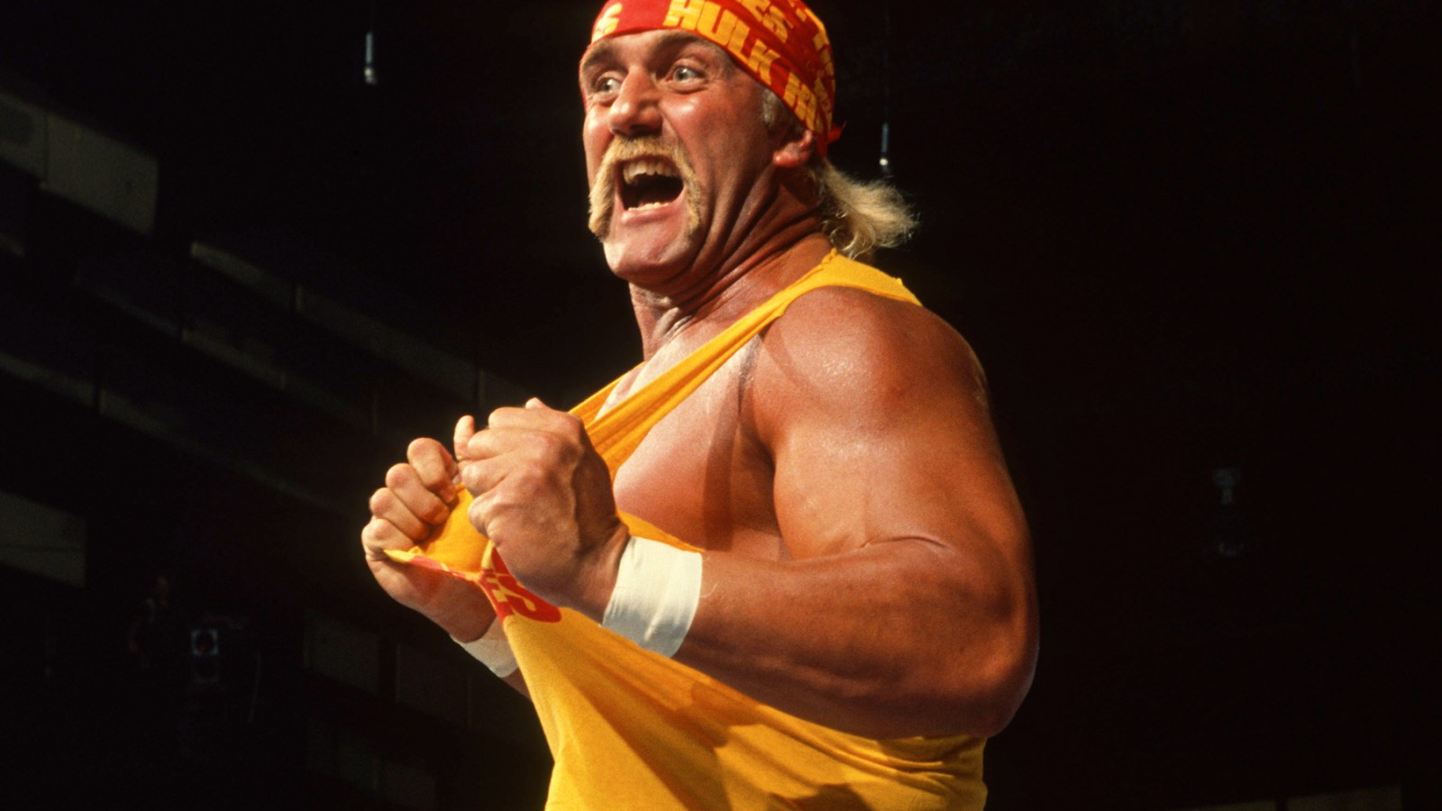 Hulk Hogan