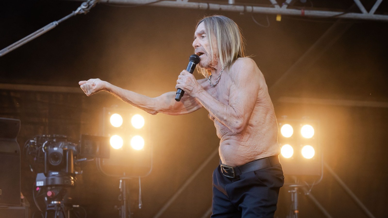Iggy Pop