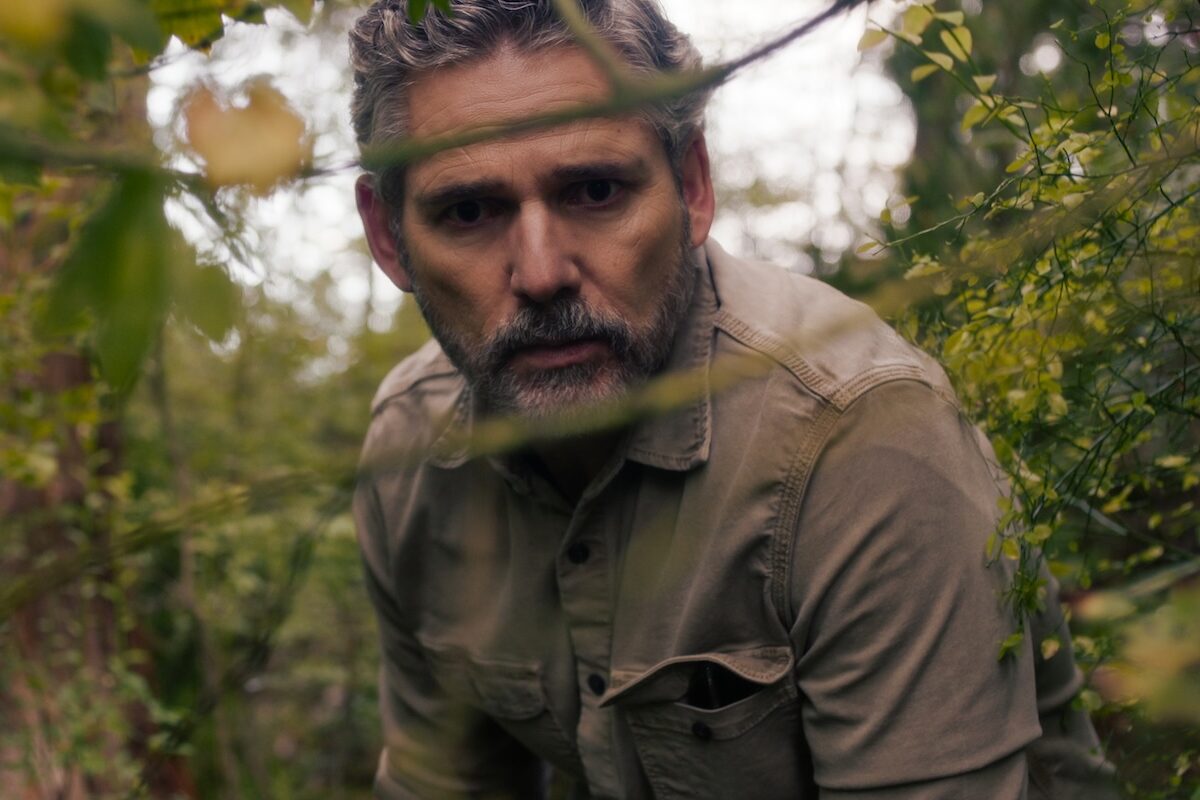 'Untamed'