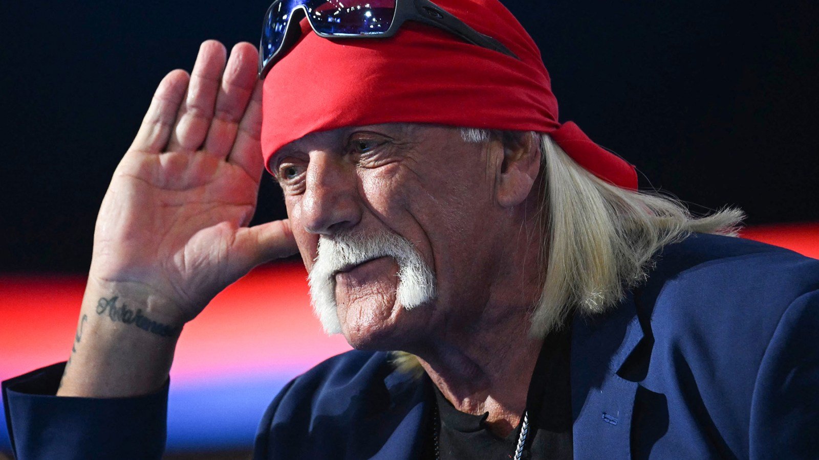 Hulk Hogan