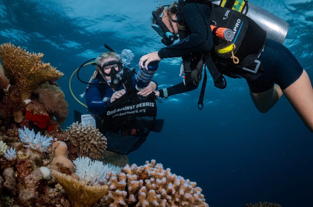 Dive Against Debris divers