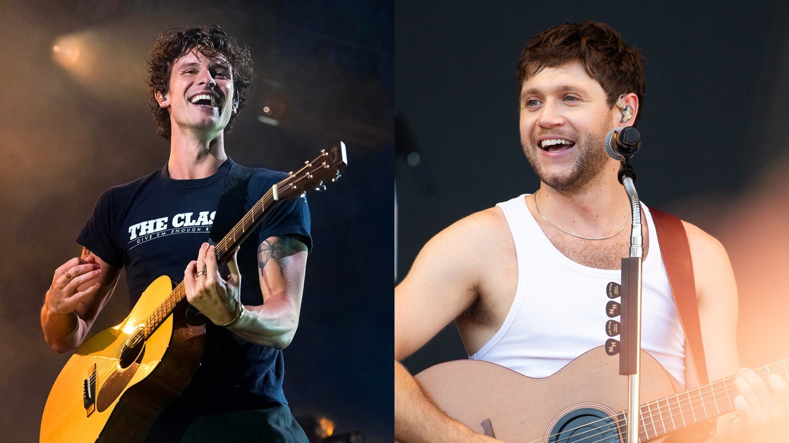 Shawn Mendes and Niall Horan