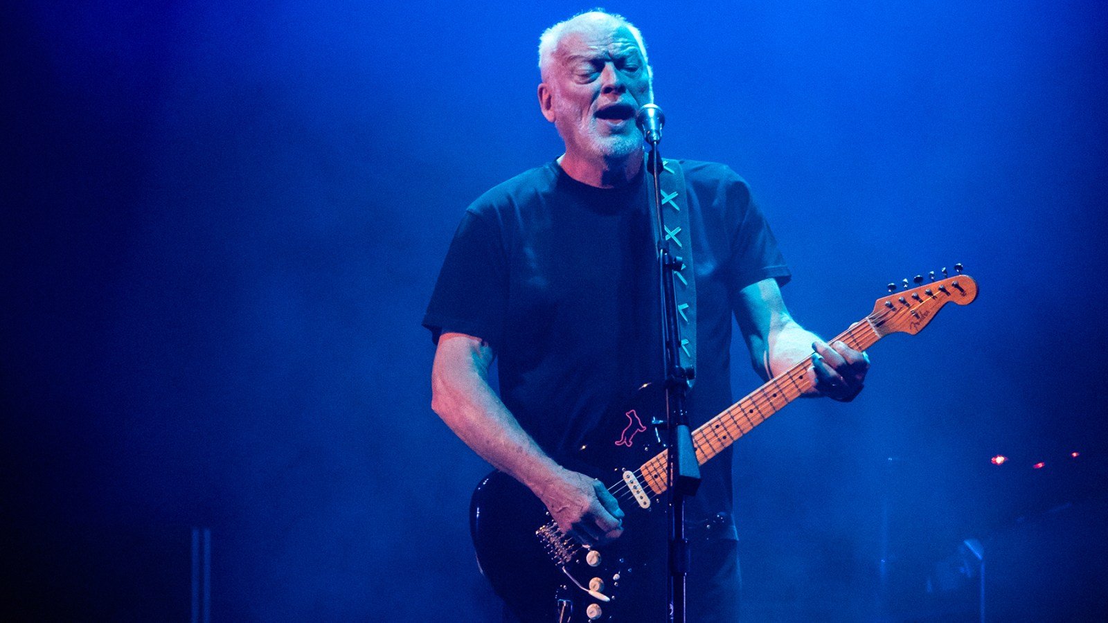 David Gilmour