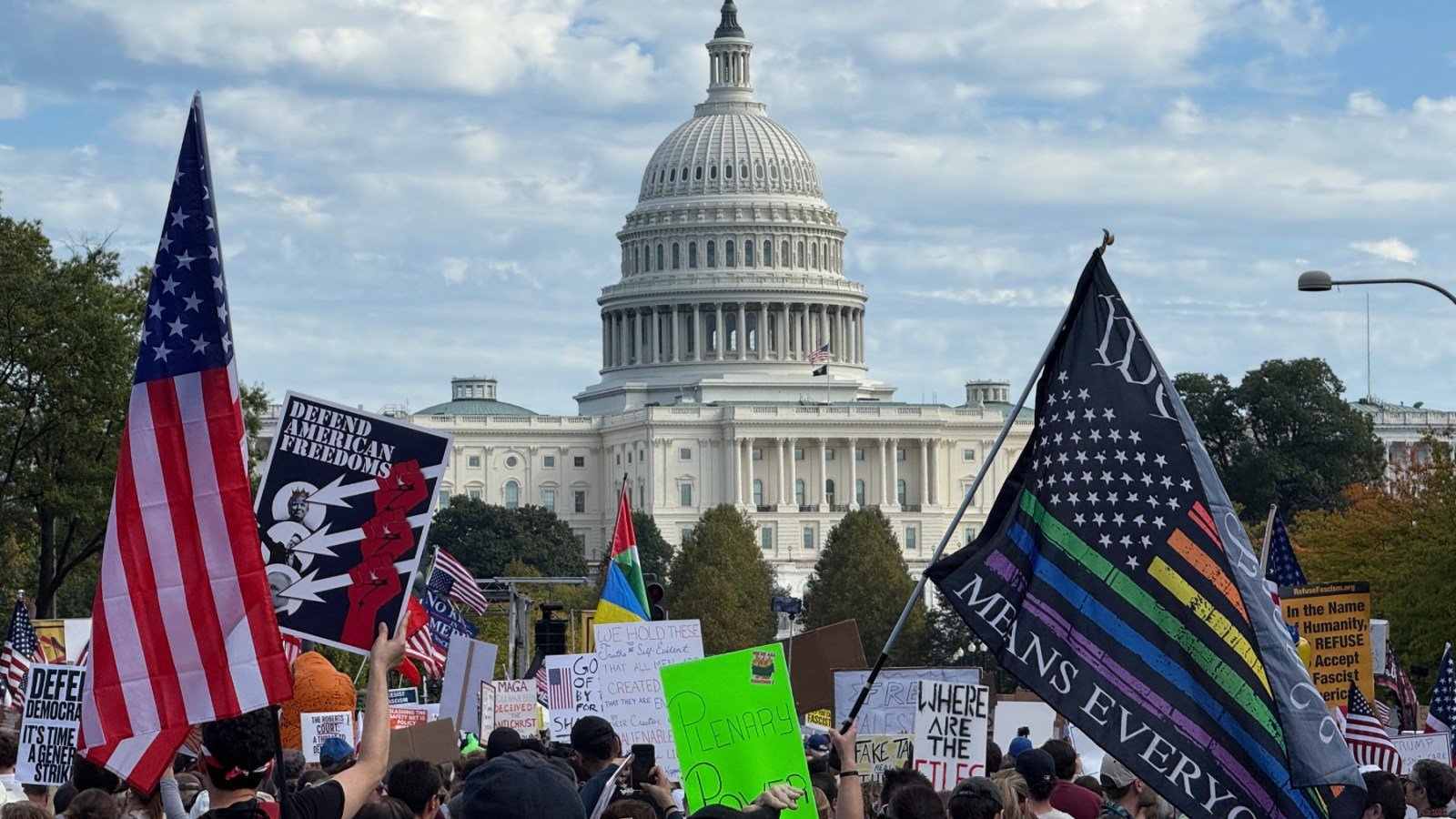 No Kings protesters in Washington, D.C.