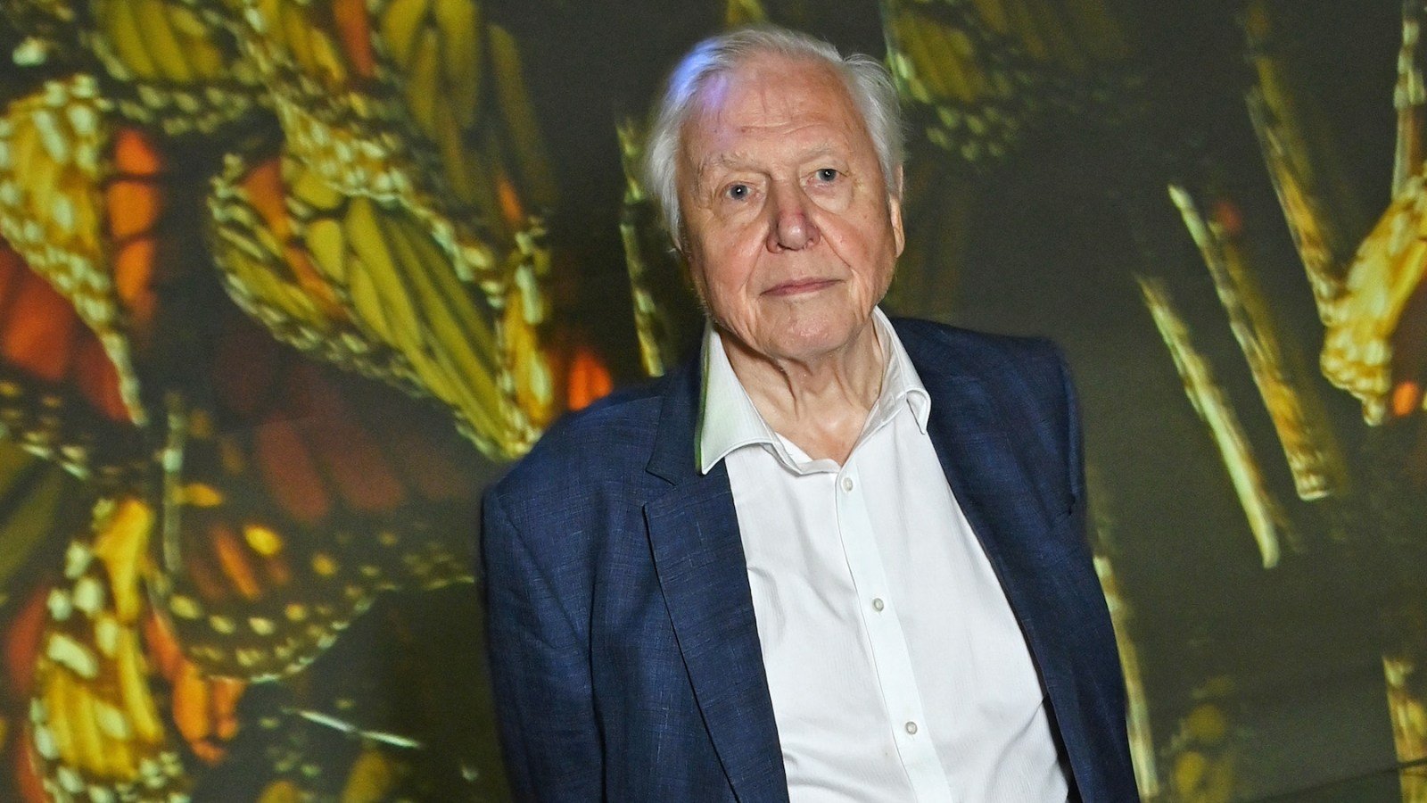 David Attenborough