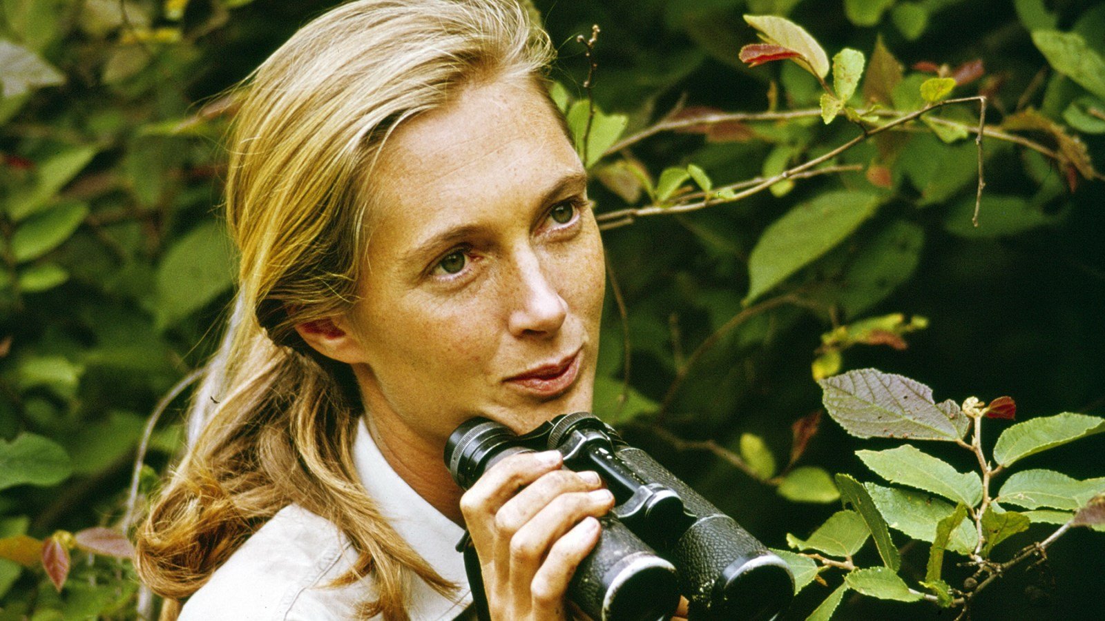 Jane Goodall