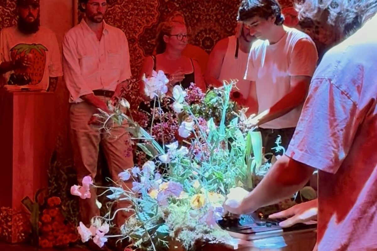 Close Counters performing using the Orchid