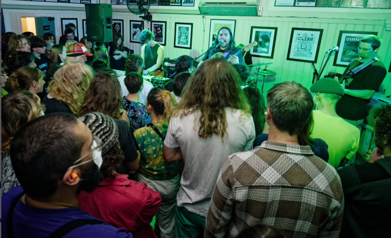 Koizilla show in Dunedin