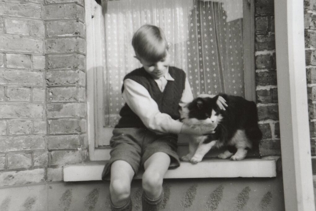 A young David Bowie with a cat sitting on a windowsill