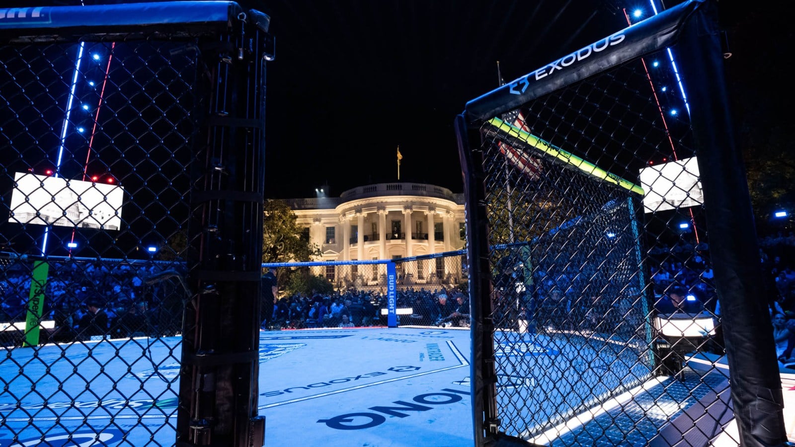 UFC Freedom 250